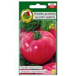 nasiona Pomidor grunt Malinowy olb pnos284