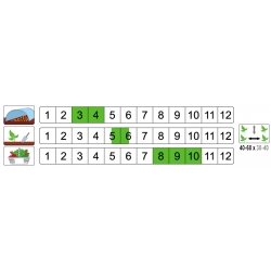nasiona Pomidor gruntowy Marmande pnos286