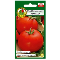 nasiona Pomidor gruntowy Płomień pnos293
