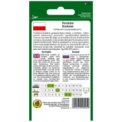 nasiona Pomidor gruntowy Radana pnos297