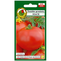nasiona Pomidor gruntowy Szach pnos302