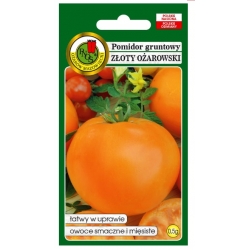 nasiona Pomidor gruntowy Złoty Ożar pnos303