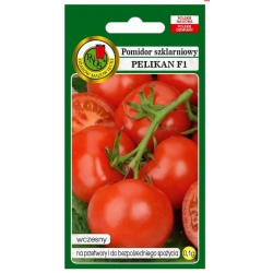 nasiona Pomidor pod osłony Pelikan pnos307