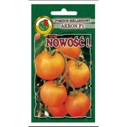 nasiona Pomidor szklarniowy Akron pnos318