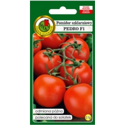 nasiona Pomidor szklarniowy Pedro pnos319