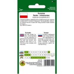 nasiona Pomidor szklarniowy Pedro pnos319