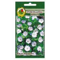 Nasiona Porcelanka Nemofila pnos858
