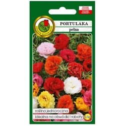 Nasiona Portulaka mieszana pnos859