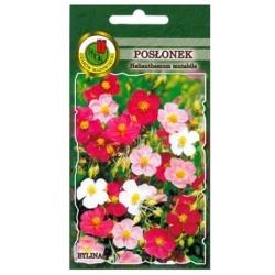 Nasiona Posłonek mieszany pnos860