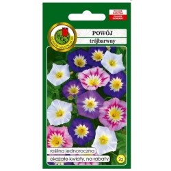 Nasiona Powój trójbarwny pnos861
