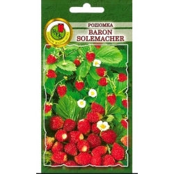 nasiona Poziomka Baron Solemacher pnos327