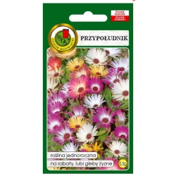 Nasiona Przypołudnik mieszany pnos862
