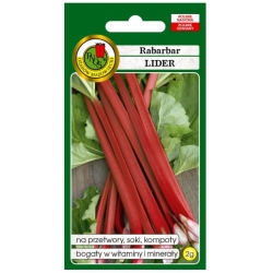 nasiona Rabarbar Lider pnos330