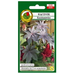 Nasiona Rącznik czerwonoli rycynus pnos863