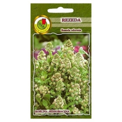 Nasiona Rezeda wonna pnos864