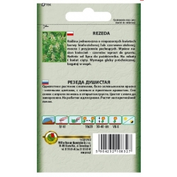 Nasiona Rezeda wonna pnos864