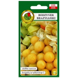 nasiona Rodzynek Brazylijski pnos331