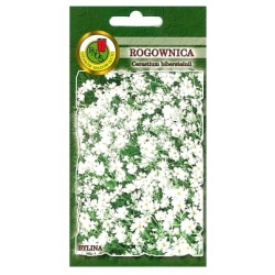 Nasiona Rogownica biała pnos865