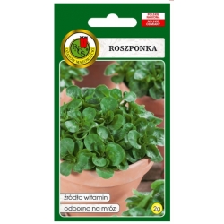 nasiona Roszponka roszpunka pnos332