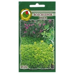 Nasiona Rozchodnik pnos866