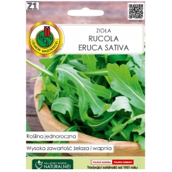 Nasiona Rucola Eruca Sativa pnos527