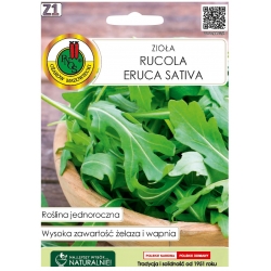 Nasiona Rucola Eruca Sativa pnos527