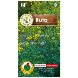 Nasiona Rumianek pospolity pnos553