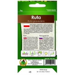 Nasiona Rumianek pospolity pnos553