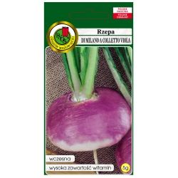 nasiona Rzepa di Milano a Viola pnos334