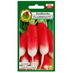 nasiona Rzodkiewka Flamboyant pnos346