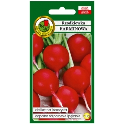nasiona Rzodkiewka Karminowa pnos349