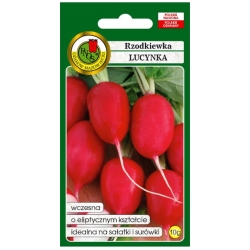 nasiona Rzodkiewka Lucynka pnos353