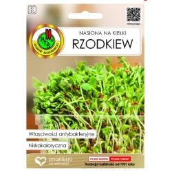 Nasiona Na kiełki Rzodkiew 20g pnos481