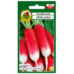 nasiona Rzodkiewka Opolanka pnos355