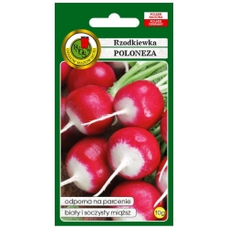 nasiona Rzodkiewka Poloneza pnos357