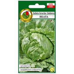 nasiona Sałata krucha Beata pnos365
