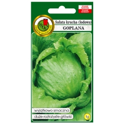 nasiona Sałata krucha Goplana pnos366
