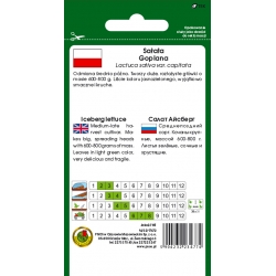 nasiona Sałata krucha Goplana pnos366