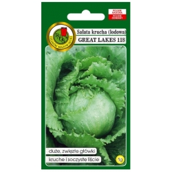 nasiona Sałata krucha Great Lakes pnos367