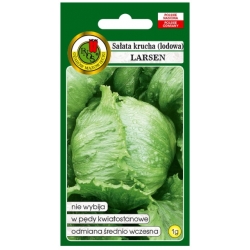 nasiona Sałata krucha Larsen pnos369