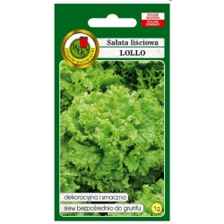 nasiona Sałata liściowa Lollo pnos370
