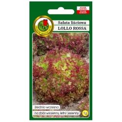 nasiona Sałata liściowa Lollo Rosa pnos371