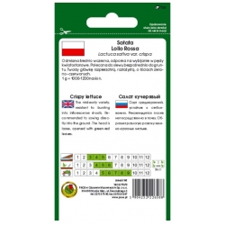 nasiona Sałata liściowa Lollo Rosa pnos371