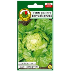 nasiona Sałata masł Edyta Ożar pnos374