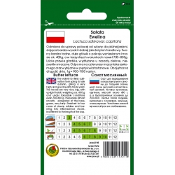 nasiona Sałata masł Ewelina pnos375