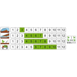 nasiona Sałata masł Ewelina pnos375