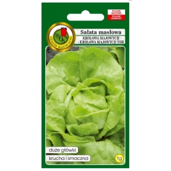 nasiona Sałata Królowa Lata pnos368