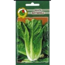 nasiona Sałata rzymska Lentissima pnos382