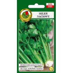 nasiona Seler naciowy Verde pnos388