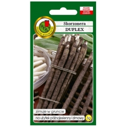 nasiona Skorzonera Duplex pnos389